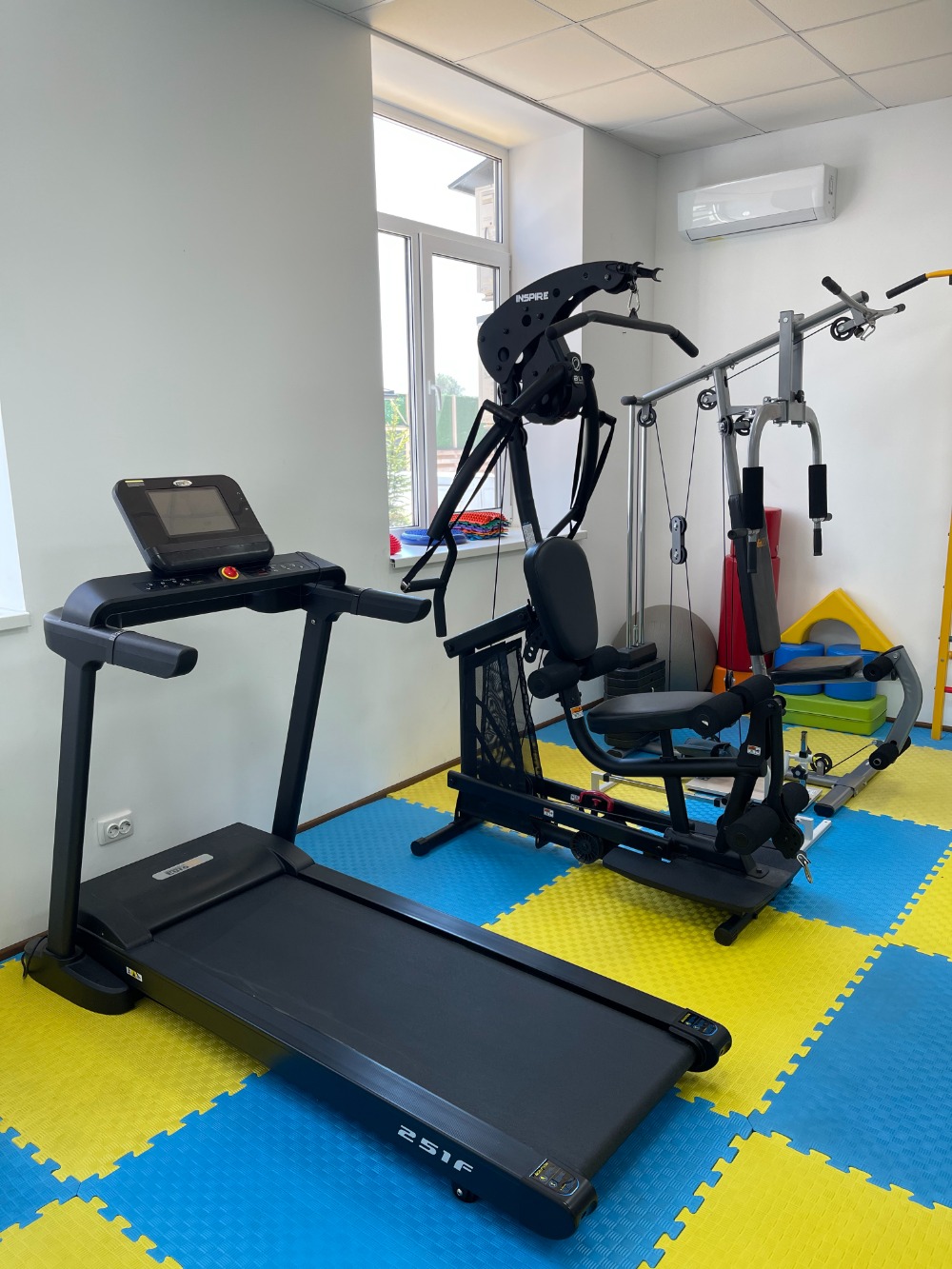 профілактика та реабілітація інсульту